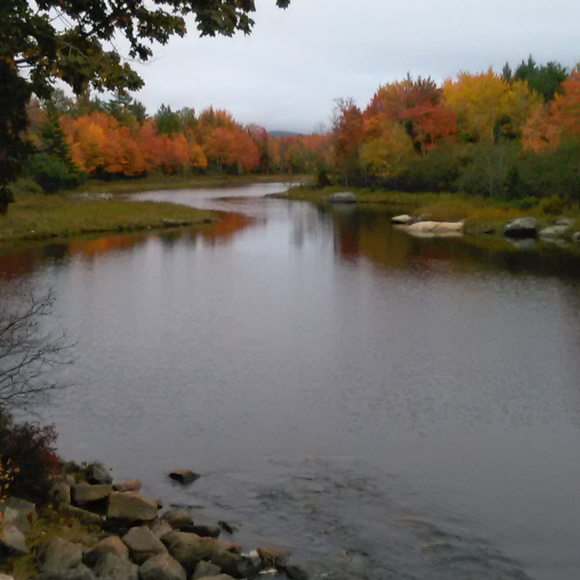 Bookmark me by liking this :) - Picture 8 of 8